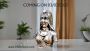 Handcrafted Rani Bani Thani Antique Polyresin Sculpture