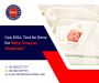 Get a Baby Swap DNA Test to Confirm at DNA Forensics Laborat