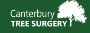 Need professional tree surgery in Kent?