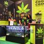 Buy CBD Weed UK - Doctor Herb