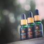 Buy CBD Weed In UK - Doctor Herb Buy CBD Weed In UK - Doctor Herb