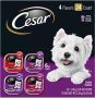 Dry dog food for sell