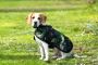 Doggie Coats Doggie Coats