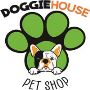 Maltipoo Puppies for Sale in Dallas