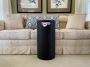 Find Best Couch And Chair Covers For Dogs Online Find Best Couch And Chair Covers For Dogs Online