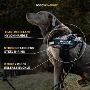 No Pull Harness – Comfortable & Secure for Your Dog