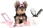 Must-Have Dog Grooming Tools for Your Pet’s Care