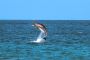 Book a Relaxing & Fun Musandam Tour in Oman Book a Relaxing & Fun Musandam Tour in Oman