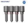 Common Rail Fuel Injector Nozzle L136PBA