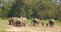 Affordable Dooars Tour Packages – Explore Nature & Wildlife!