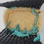 Perfect Dragon Feeding with Live Mealworms from Doug's Bugz