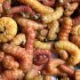 Premium Butter worms for Fish Bait and Trout Fishing at Doug