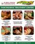 Leading Panchkarma Centre in Amritsar for Holistic Healing