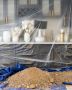Best Plumbing Company Phoenix-Drain Srgns