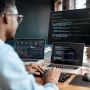 Professional Front End Web Developer - Dream Cyber Infoway 