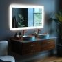 Get High-Quality Bathroom Pivot Mirrors only at Dreamwerks