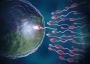 Oligospermia Treatment in India: Advanced Care for Male Fert