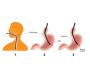 Hepatologist In Mumbai | Best Hepatologist In Mumbai