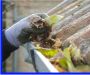 Reliable Gutter Cleaning in Aurora CO