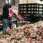 Fall Cleanup Services