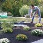 Landscape Planting in Easton