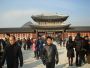 Local private tour guide Korea