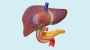 Expert Gastroenterology & Liver Care in Ahmedabad