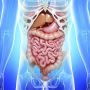 Expert in Functional GI Disorders in Ahmedabad