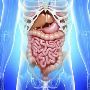 Best Endoscopist in Ahmedabad for Advanced Diagnosis