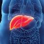 Expert Liver Disease Treatment in Gujarat