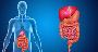 Expert Gastroenterologist in Ludhiana – Dr. Nitin Behl