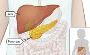 Gastro and Liver Specialist in Ludhiana - Dr. Nitin Bhel