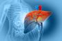 Experienced Liver Specialist Doctor in Ludhiana  