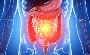 Sundardas Naturopathy Clinic – ISO Certified Wellness Centre