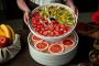Fruit Dryers