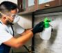 Pest Control Inverleigh