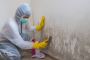 Got Mould? Call a Professional for Mould Cleaning!