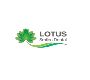 Dentist Near Melton | Family Dentist | Local Dentist