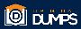 Top Benefits of Earning the C_AIG_2412 Certification for SAP