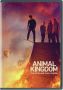 Buy Animal Kingdom Season 6 DVD