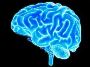 TAP INTO THE POWER OF YOUR MIND TAP INTO THE POWER OF YOUR MIND