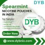 Spearmint Nicotine Pouches in India: Freshness Meets Conveni