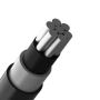 Upgrade to Durable Medium Voltage Covered Conductors