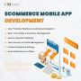 Top Ecommerce App Development Company - Dynamic Methods