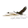 Eagle Point Dental
