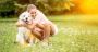 Best Dog Joint Supplement