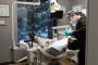 Dentist in North Raleigh: Earwood Dentistry's Personalized C