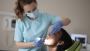 Emergency Dental Care In Raleigh NC