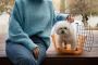 Trusted Pet Boarding El Paso – Reserve Your Spot Today Trusted Pet Boarding El Paso – Reserve Your Spot Today
