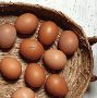 Buy Jones Brothers Eggs – Farm Fresh Goodness Delivered in S